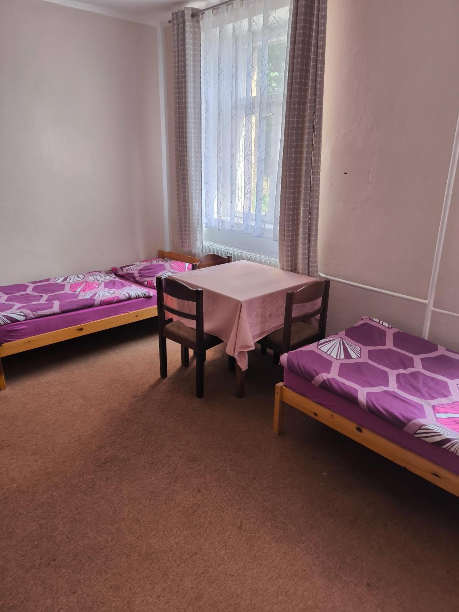 Penzion U Zeleného Stromu Telnice Chambre photo